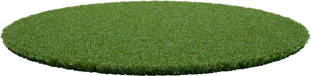 Isolated round part of soccer playground with grass